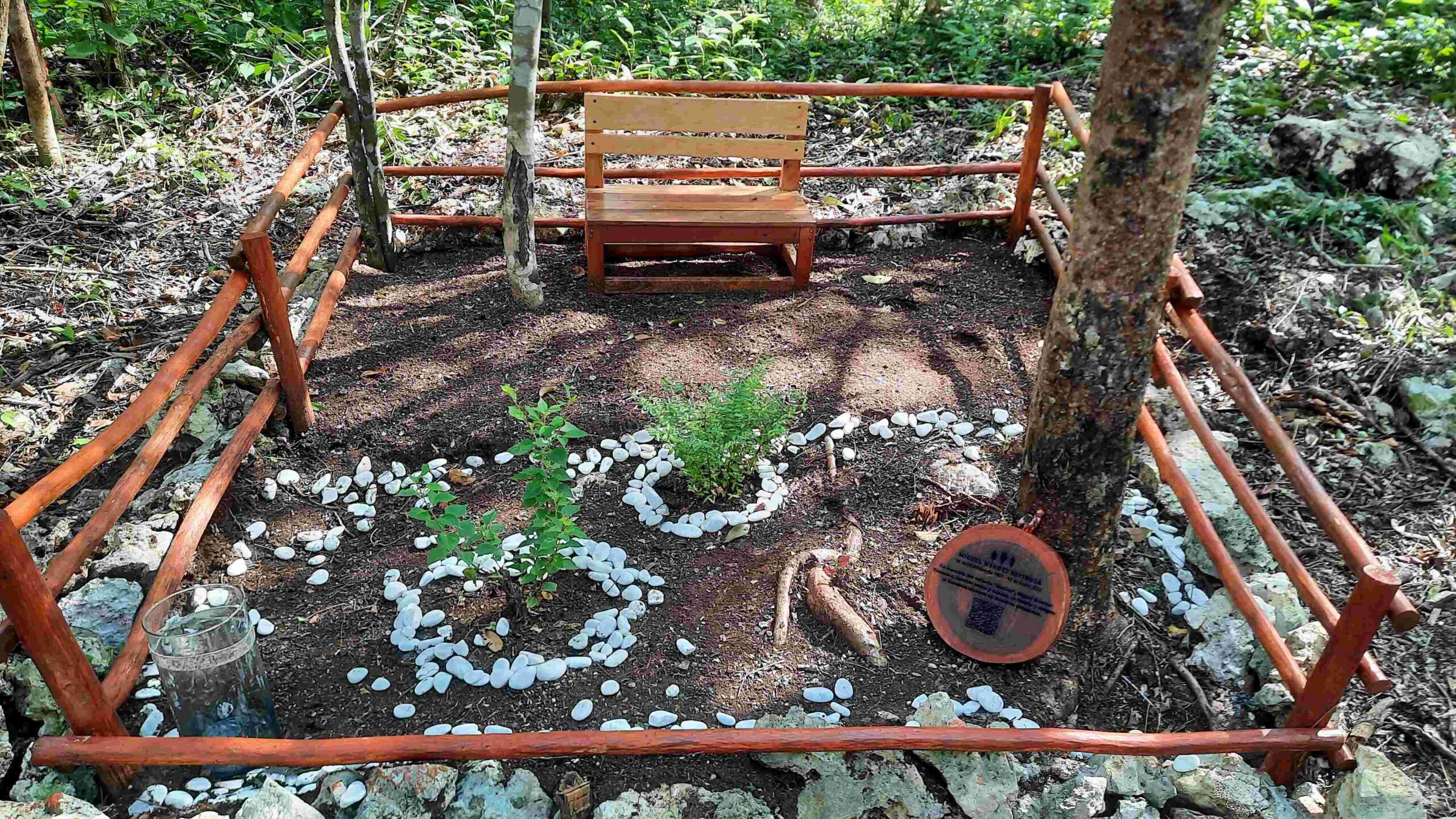 Convertir cenizas en árbol