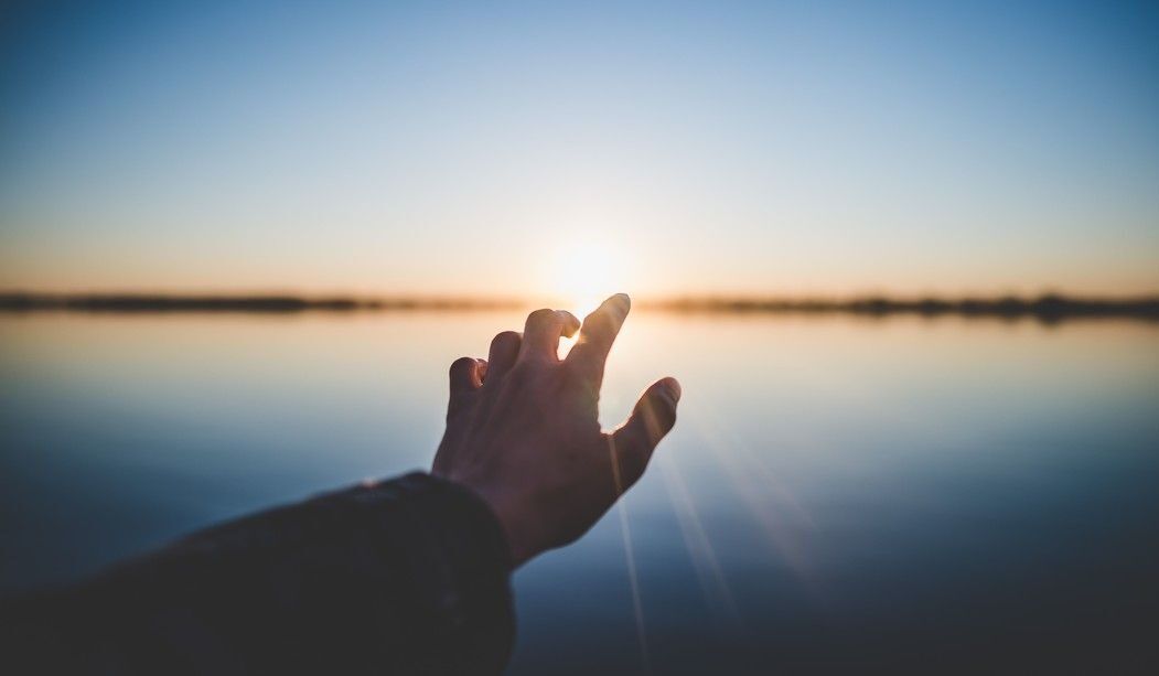 ¿Las mariposas son señales de nuestros seres queridos fallecidos?