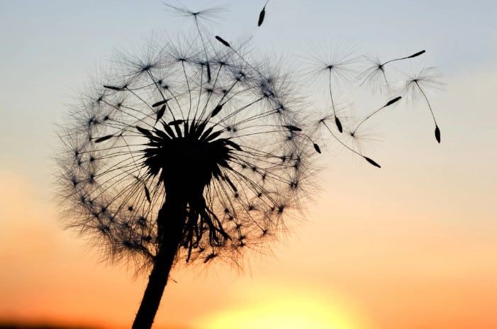 Cuando un ser querido elige irse: comprender el suicidio desde el amor, no desde la culpa.