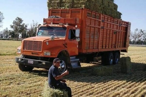 WhatsApp Image 2026-02-04 at 12.05.56 PM (3)